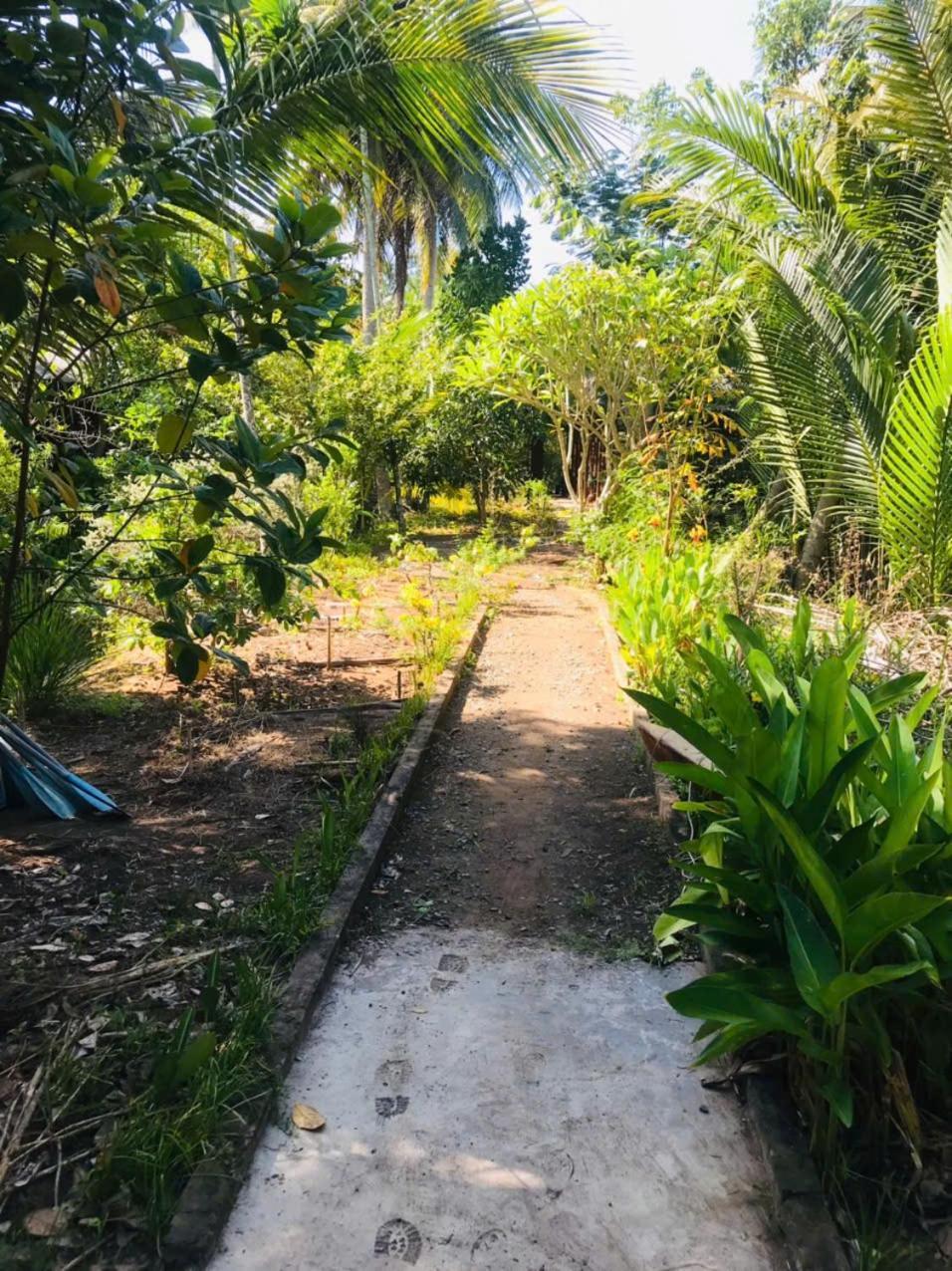 Ba Danh Home Ben Tre Exterior foto