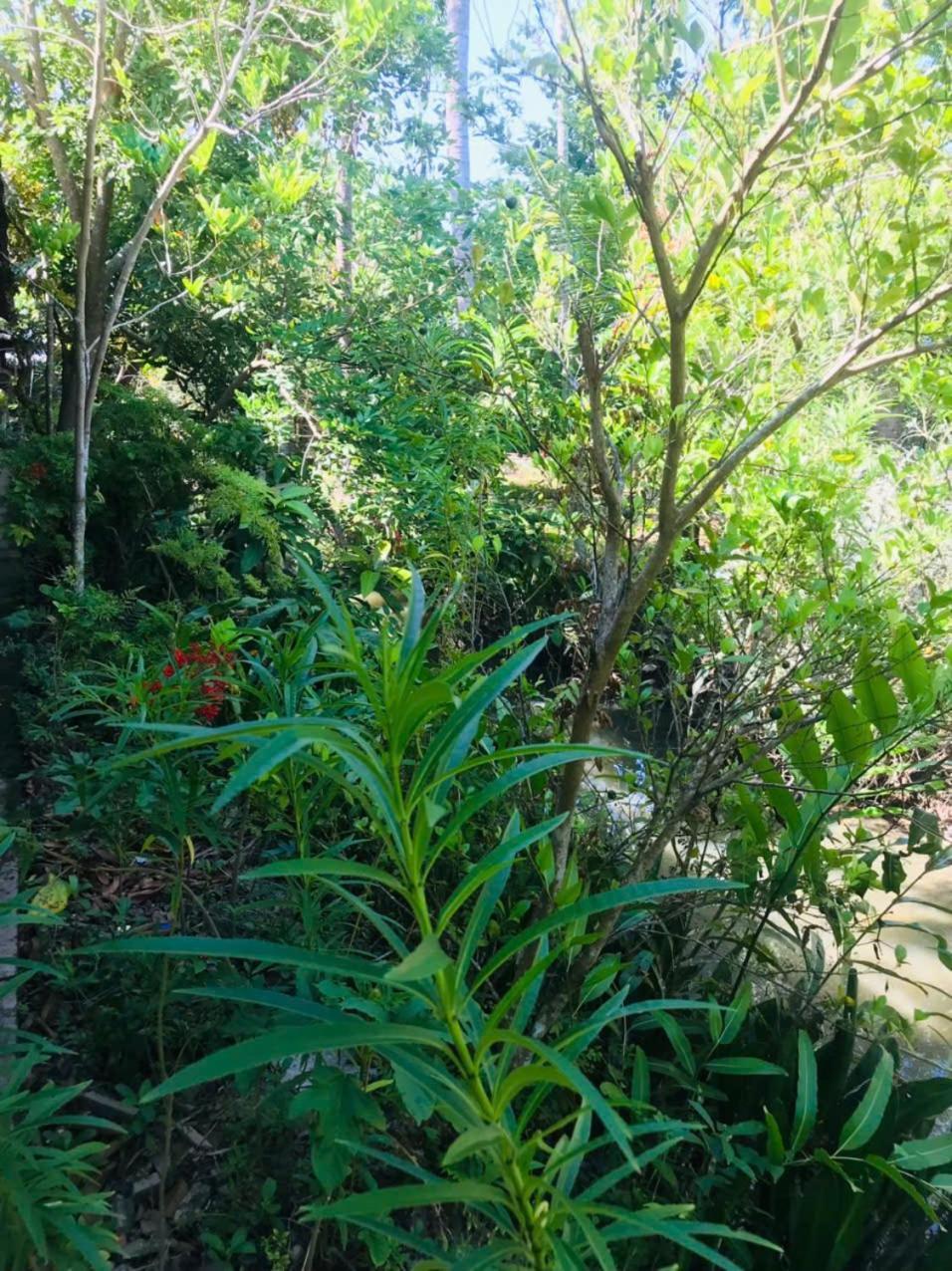 Ba Danh Home Ben Tre Exterior foto