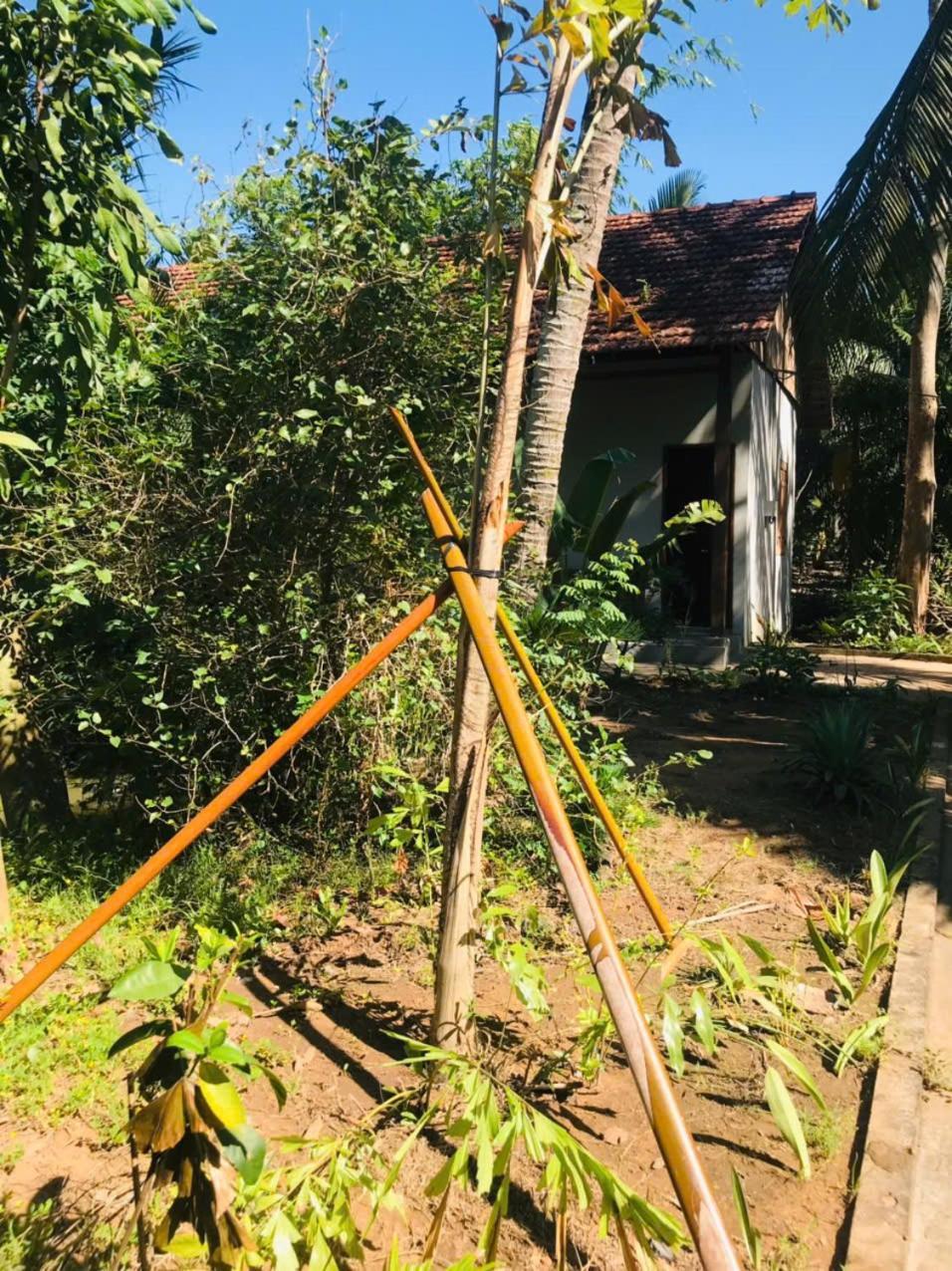 Ba Danh Home Ben Tre Exterior foto